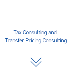 Tax Consulting and Transfer Pricing Consulting