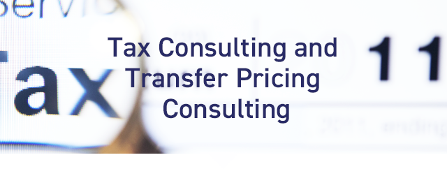 Consulting and Transfer Pricing Consulting